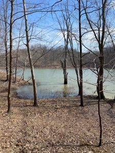 Lake Front Property for sale Bloomington IN on Lake Monroe - image 26