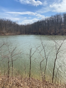 Lake Front Property for sale Bloomington IN on Lake Monroe - image 27