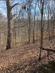 Lake Front Property for sale Bloomington IN on Lake Monroe - image 19