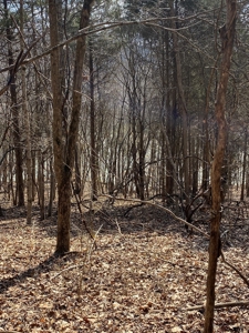 Lake Front Property for sale Bloomington IN on Lake Monroe - image 20