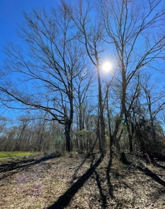 Private Hunting Retreat Minutes From Montgomery - image 24