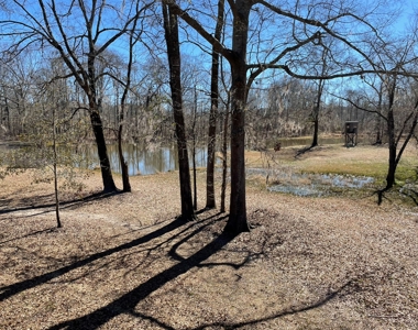 Private Hunting Retreat Minutes From Montgomery - image 15