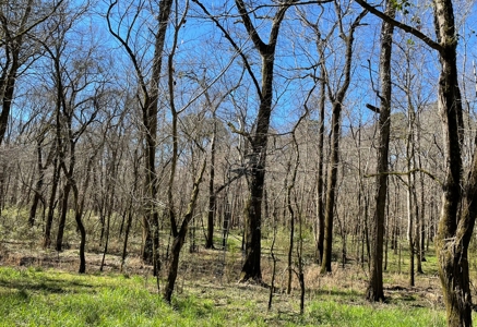 Private Hunting Retreat Minutes From Montgomery - image 39