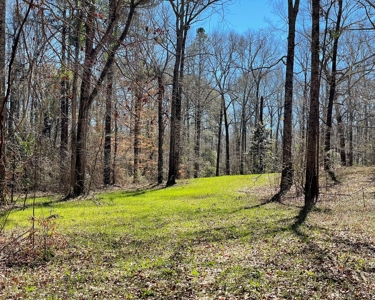 Private Hunting Retreat Minutes From Montgomery - image 37