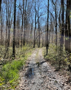 Private Hunting Retreat Minutes From Montgomery - image 36