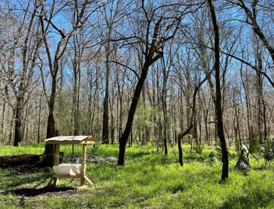 Private Hunting Retreat Minutes From Montgomery - image 35