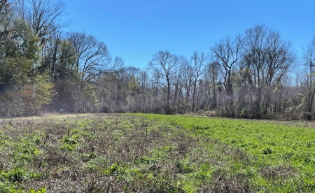 Private Hunting Retreat Minutes From Montgomery - image 30