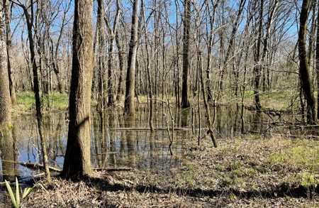 Private Hunting Retreat Minutes From Montgomery - image 40