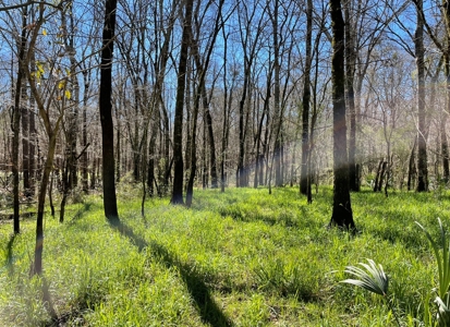 Private Hunting Retreat Minutes From Montgomery - image 41
