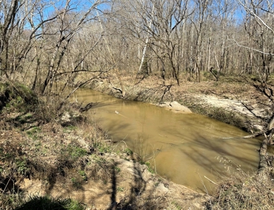 Private Hunting Retreat Minutes From Montgomery - image 34