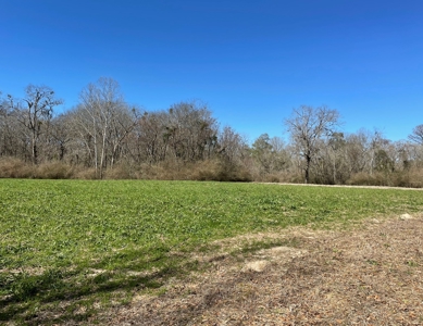 Private Hunting Retreat Minutes From Montgomery - image 27