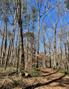 Private Hunting Retreat Minutes From Montgomery - image 38