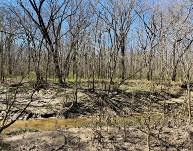 Private Hunting Retreat Minutes From Montgomery - image 31