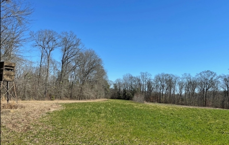 Private Hunting Retreat Minutes From Montgomery - image 23