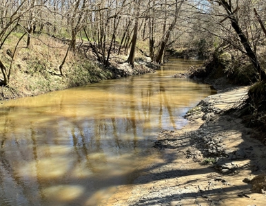 Private Hunting Retreat Minutes From Montgomery - image 26