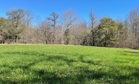 Private Hunting Retreat Minutes From Montgomery - image 29