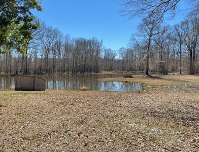 Private Hunting Retreat Minutes From Montgomery - image 4