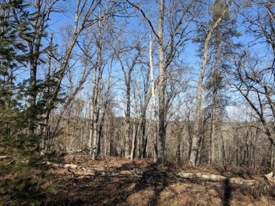 Buiding Site for sale on Canada Creek Ranch Atlanta MI - image 1