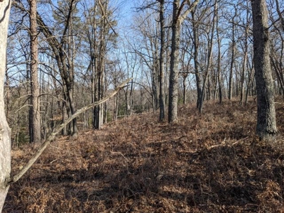 Buiding Site for sale on Canada Creek Ranch Atlanta MI - image 2