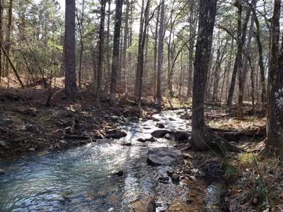 Spring Mountain Recreational Land Adjoining National Forest - image 27
