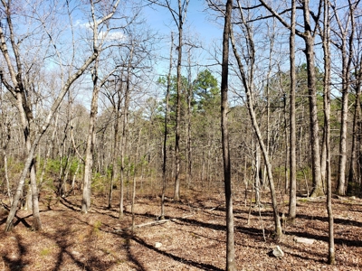 Spring Mountain Recreational Land Adjoining National Forest - image 12