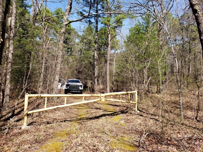 Spring Mountain Recreational Land Adjoining National Forest - image 3