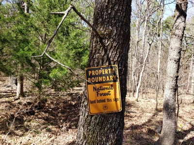 Spring Mountain Recreational Land Adjoining National Forest - image 20