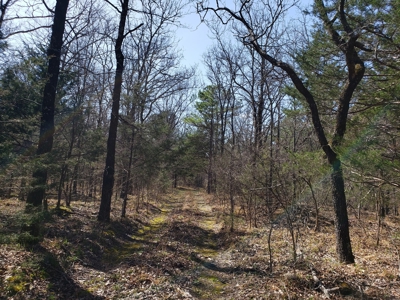 Spring Mountain Recreational Land Adjoining National Forest - image 17