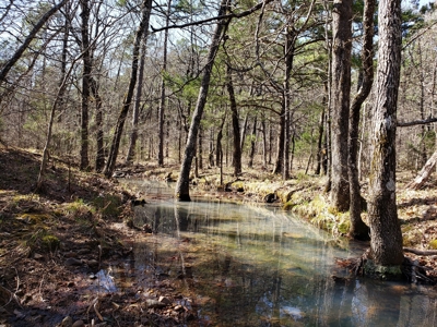 Spring Mountain Recreational Land Adjoining National Forest - image 18