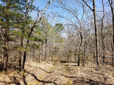Spring Mountain Recreational Land Adjoining National Forest - image 16