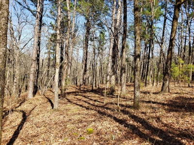 Spring Mountain Recreational Land Adjoining National Forest - image 15