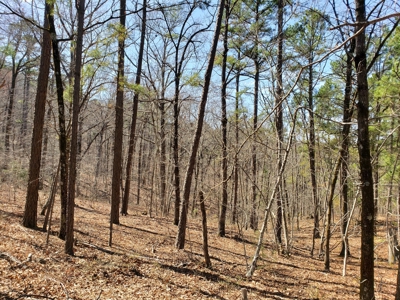 Spring Mountain Recreational Land Adjoining National Forest - image 11