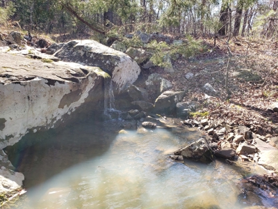 Spring Mountain Recreational Land Adjoining National Forest - image 14