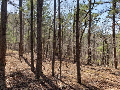 Spring Mountain Recreational Land Adjoining National Forest - image 10