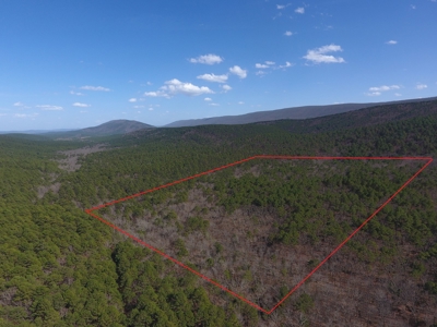 Spring Mountain Recreational Land Adjoining National Forest - image 1