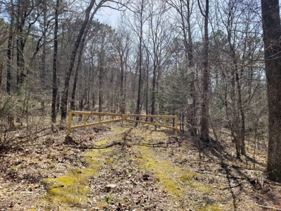 Spring Mountain Recreational Land Adjoining National Forest - image 24