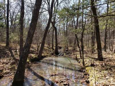 Spring Mountain Recreational Land Adjoining National Forest - image 19