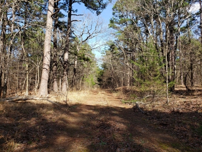 Spring Mountain Recreational Land Adjoining National Forest - image 26