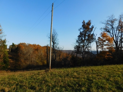 Land Bordering Ozark National Forest Views Pasture For Sale - image 2