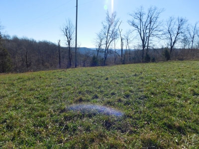 Land Bordering Ozark National Forest Views Pasture For Sale - image 6