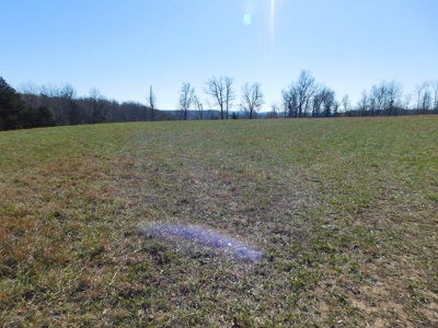 Land Bordering Ozark National Forest Views Pasture For Sale - image 5