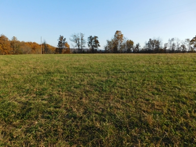 Land Bordering Ozark National Forest Views Pasture For Sale - image 1