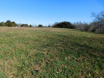 Land Bordering Ozark National Forest Views Pasture For Sale - image 7