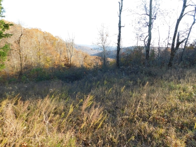 Land Bordering Ozark National Forest Views Pasture For Sale - image 3