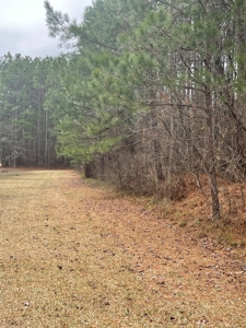 Business & Commercial Building For Sale in Saline County, AR - image 14