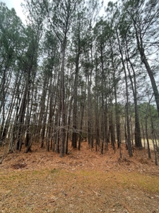 Business & Commercial Building For Sale in Saline County, AR - image 15