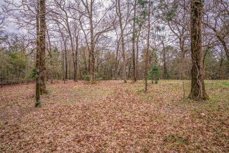 Country Home, Land, Gilmer Area, Upshur County, Texas - image 9