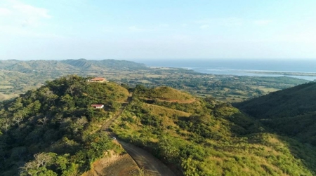 11.5 Hectares Land For Sale In Cañas Pedasi Panama - image 2