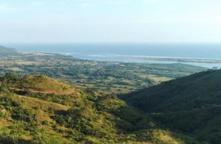 11.5 Hectares Land For Sale In Cañas Pedasi Panama - image 4