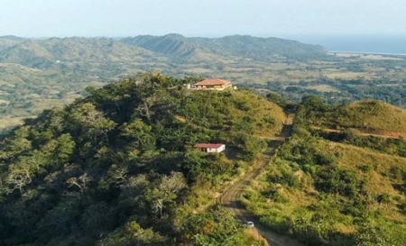 11.5 Hectares Land For Sale In Cañas Pedasi Panama - image 3